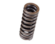 Load image into Gallery viewer, BLOX Racing Valve Springs for D-series SOHC VTEC D16Z-Y (1.6L SOHC VTEC)