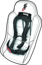 Load image into Gallery viewer, DragonFire Racing Harness Evo- Black