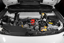 Load image into Gallery viewer, PERRIN 22-24 Subaru WRX Air Oil Separator - Red