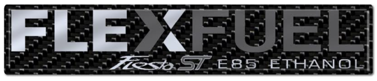 Flex Fuel Fiesta ST