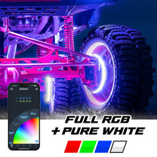 Load image into Gallery viewer, User 1