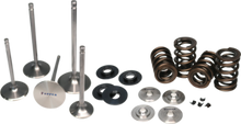 Load image into Gallery viewer, Ferrea 02-03 Harley-Davidson VRSCA V Rod Dual Valve Spring Kit