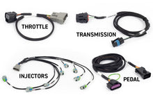 Load image into Gallery viewer, Haltech NEXUS Rebel LS Gen IV 6-Pin DBW Throttle/EV6 Injectors/Manual Transmission