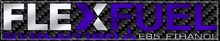 Load image into Gallery viewer, Flex Fuel Evolution Variants